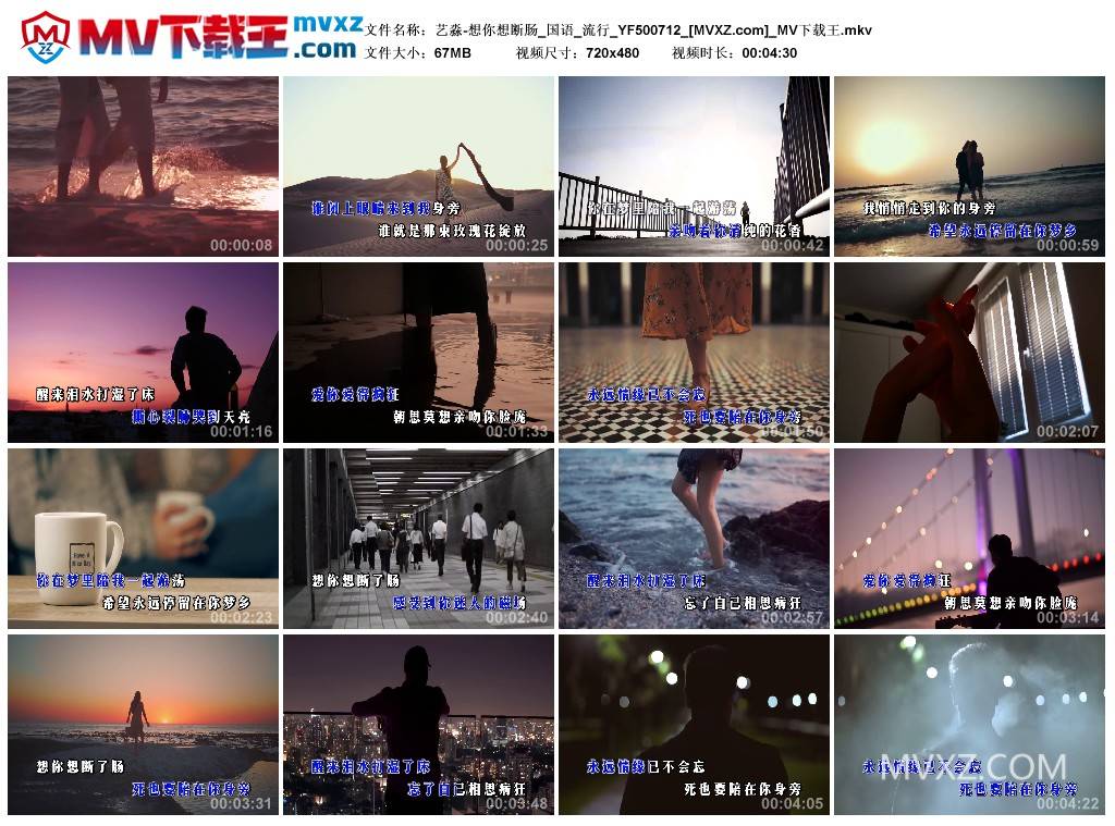 艺淼-想你想断肠_国语_流行_YF500712